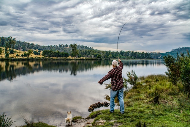 Best Land-Based Fishing Spots in Auckland